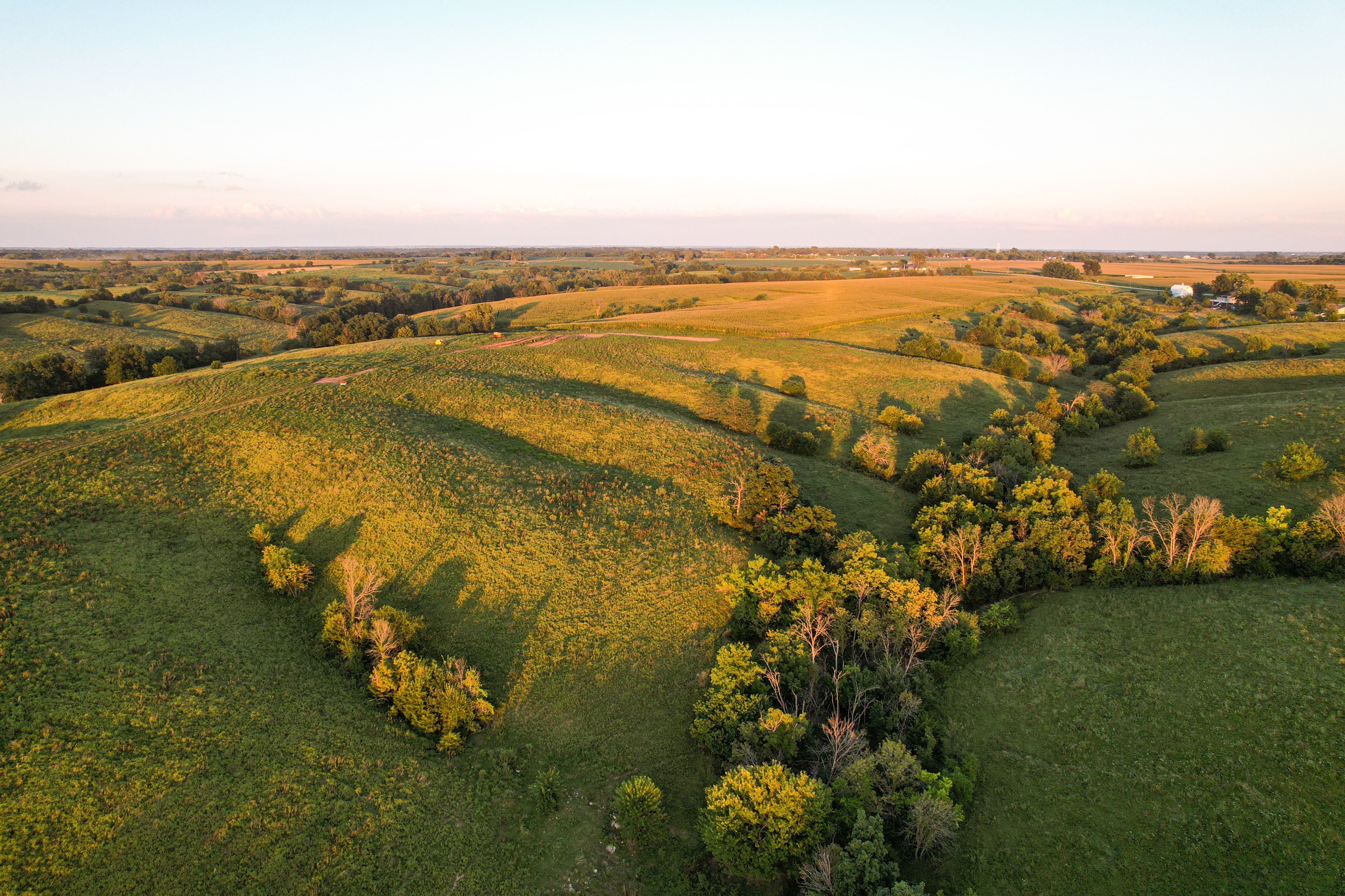 Listing Photo: Photo Aug 20 2025, 7 41 32 PM